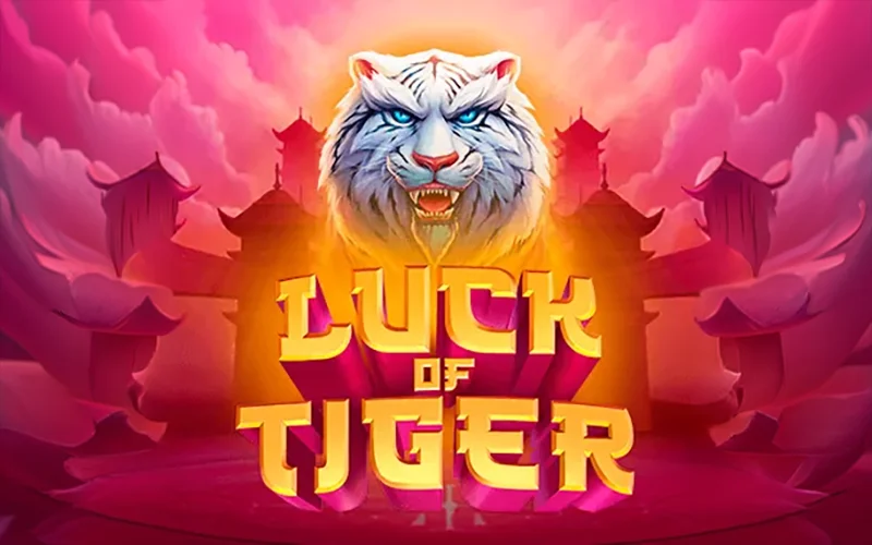 Werden Sie aktiver Teilnehmer des Spiels Luck of Tiger auf der Website des Ricky Casinos.